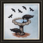 Narcissus the Crow (image for) Narcissus the Crow